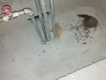 景谷卫生间测漏水价格明细