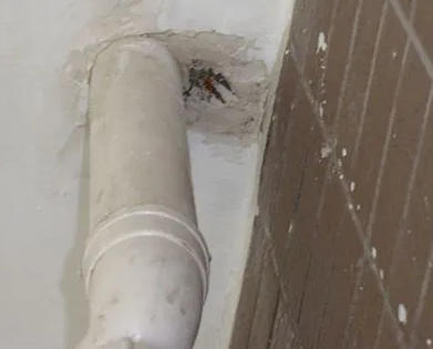 景谷漏水检测哪家好